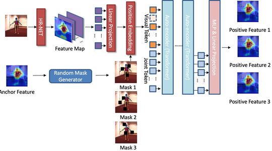 Anti-Occlusion Human Pose Estimation for Scoliosis Rehabilitation