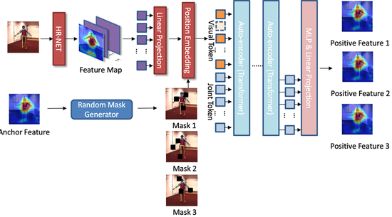 Anti-Occlusion Human Pose Estimation for Scoliosis Rehabilitation